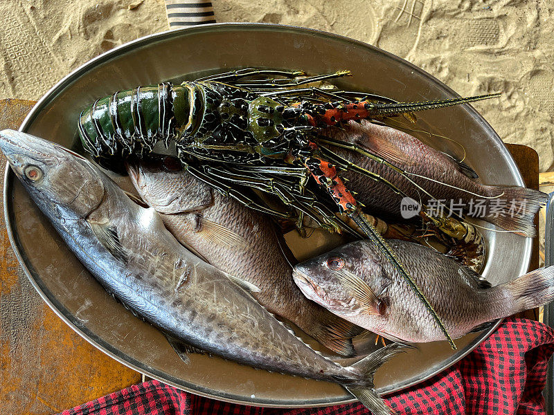 餐馆顾客挑选新鲜捕获的红鲷鱼(Lutjanus campechanus)，绿刺龙虾(Panulirus gracilis)和王鱼(Scomberomorus guttatus)的特写照片，餐桌上的椭圆形金属托盘，沙滩，高架视图